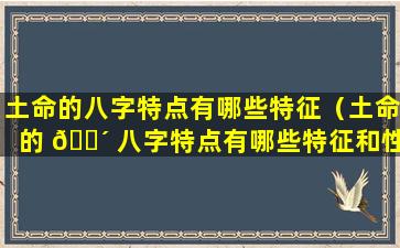 土命的八字特点有哪些特征（土命的 🐴 八字特点有哪些特征和性格）